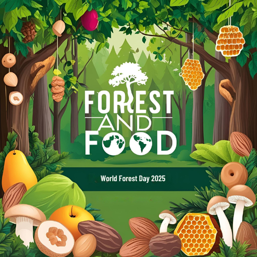 International Forest day 2025