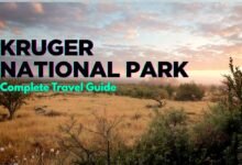 Kruger National Park: Wildlife Discoveries