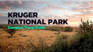 Kruger National Park: Wildlife Discoveries
