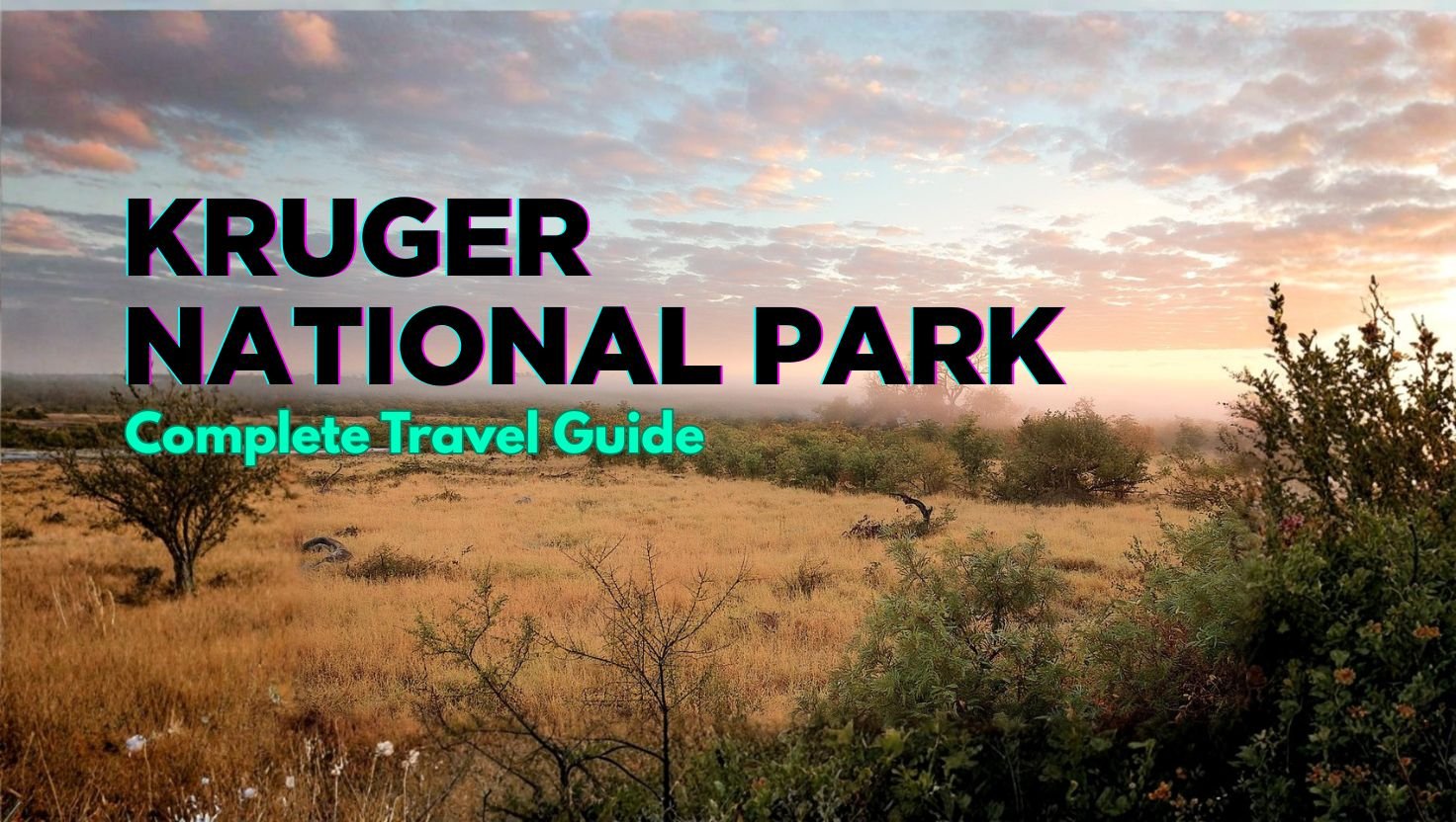 Kruger National Park: Wildlife Discoveries