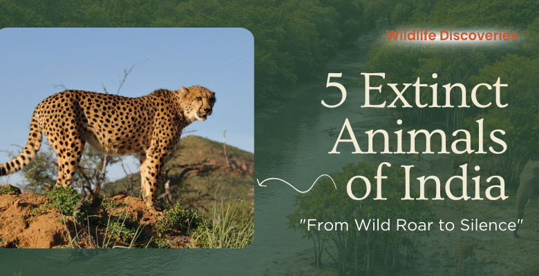 Extinct Animals of India