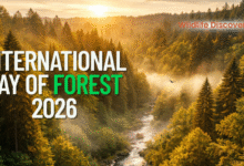 Forest Day 2026