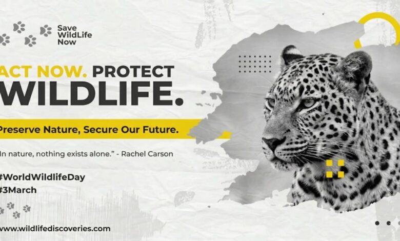 Wildlife conservation poster featuring a black and white leopard portrait with bold text ‘Act Now Protect Wildlife’ and message about preserving nature for the future, highlighting World Wildlife Day.