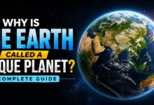 Why Is the Earth Called a Unique Planet Complete Guide