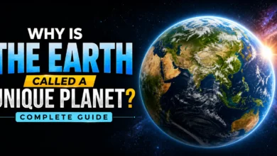 Why Is the Earth Called a Unique Planet Complete Guide