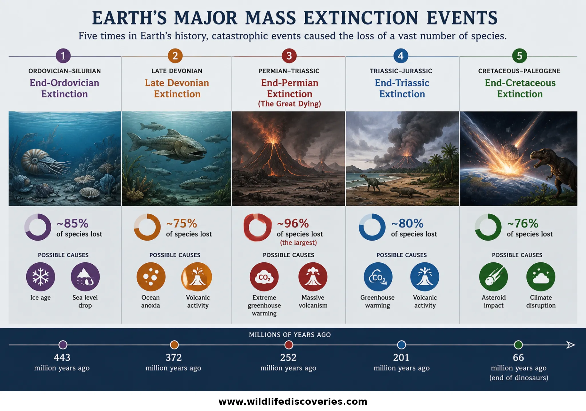 Educational infographic timeline showing Earth’s five major mass extinction events — Ordovician-Silurian, Late Devonian, Permian-Triassic, Triassic-Jurassic, and Cretaceous-Paleogene — with illustrations, species loss percentages, possible causes, and a geological timeline