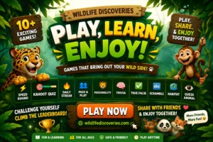 Wildlife Fun Zone banner featuring animal quiz games, trivia, kahoot quiz, speed round, leaderboard challenges, and fun educational wildlife games to play and share with friends online.