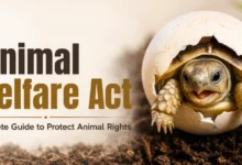 Animal Welfare Act Wildlife Discoveries