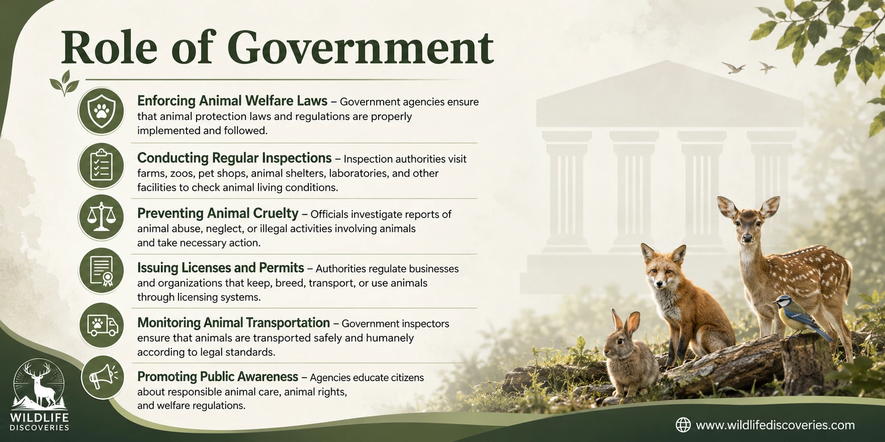 Role of Government Bodies and Inspection Authorities