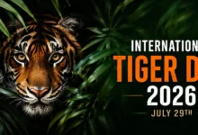 International Tiger Day 2026