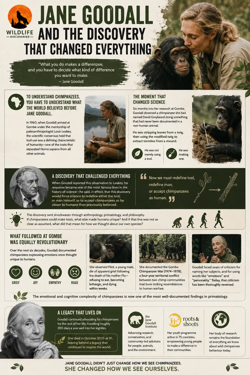 Educational infographic about Jane Goodall's groundbreaking chimpanzee research at Gombe, including David Greybeard's tool-making discovery, chimpanzee emotions, the Gombe Chimpanzee War, and Goodall's lasting conservation legacy.